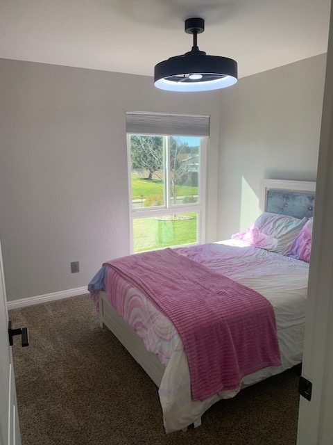 Building Photo - 4641 Cameo Dr