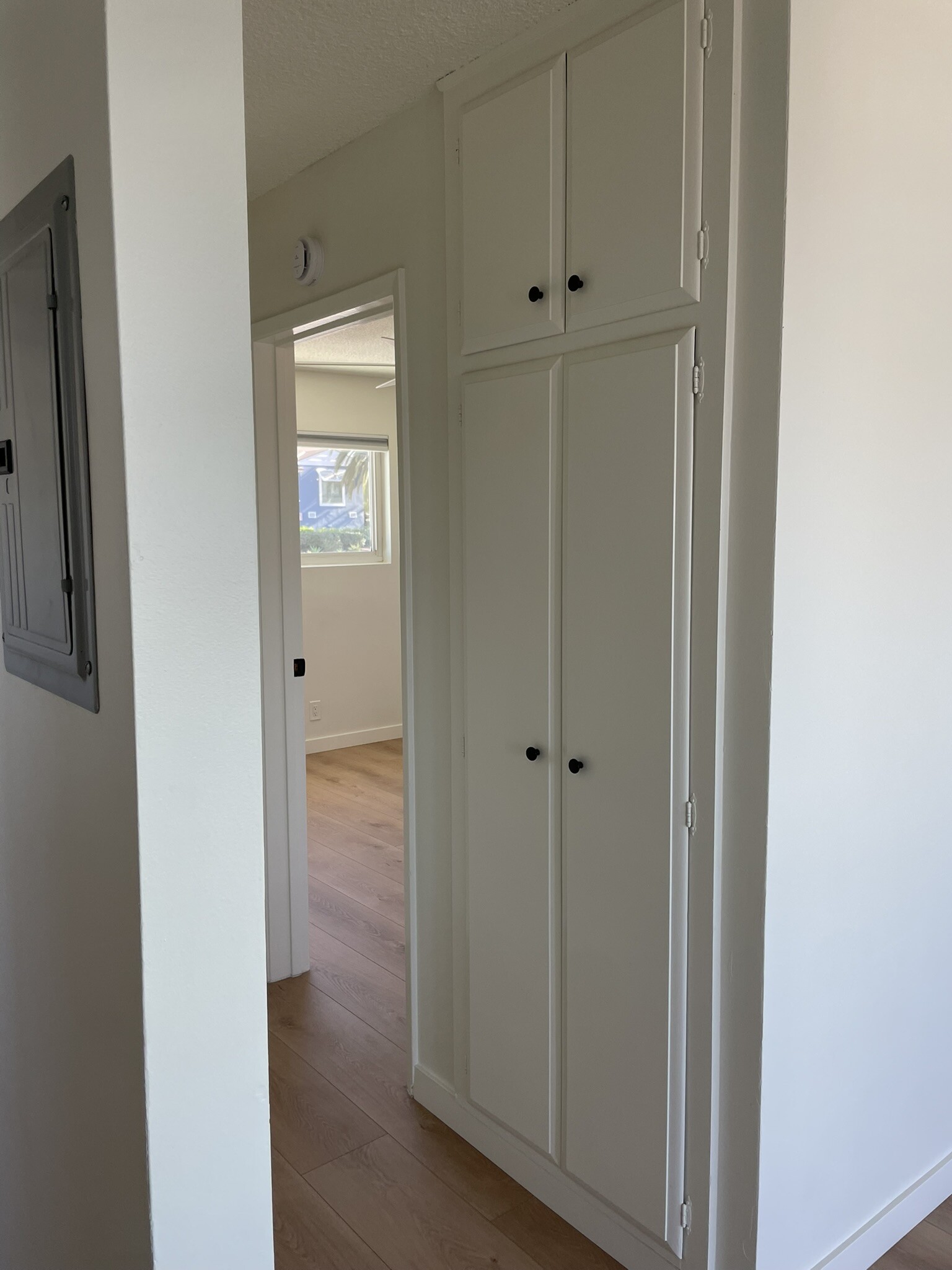 Hall cupboard and coat closet - 1039 6th St