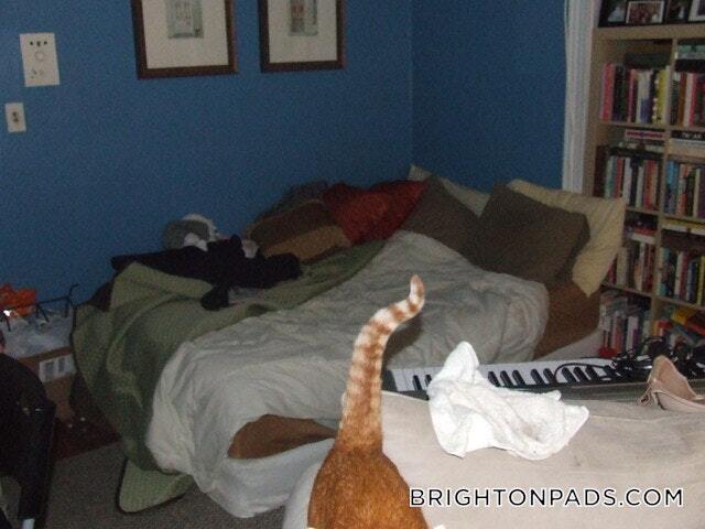 Building Photo - 1665 Commonwealth Ave