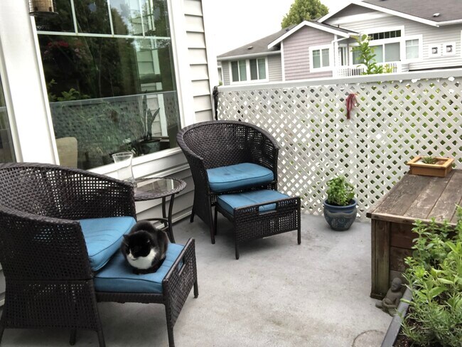 Patio Deck - 16255 SW Audubon St