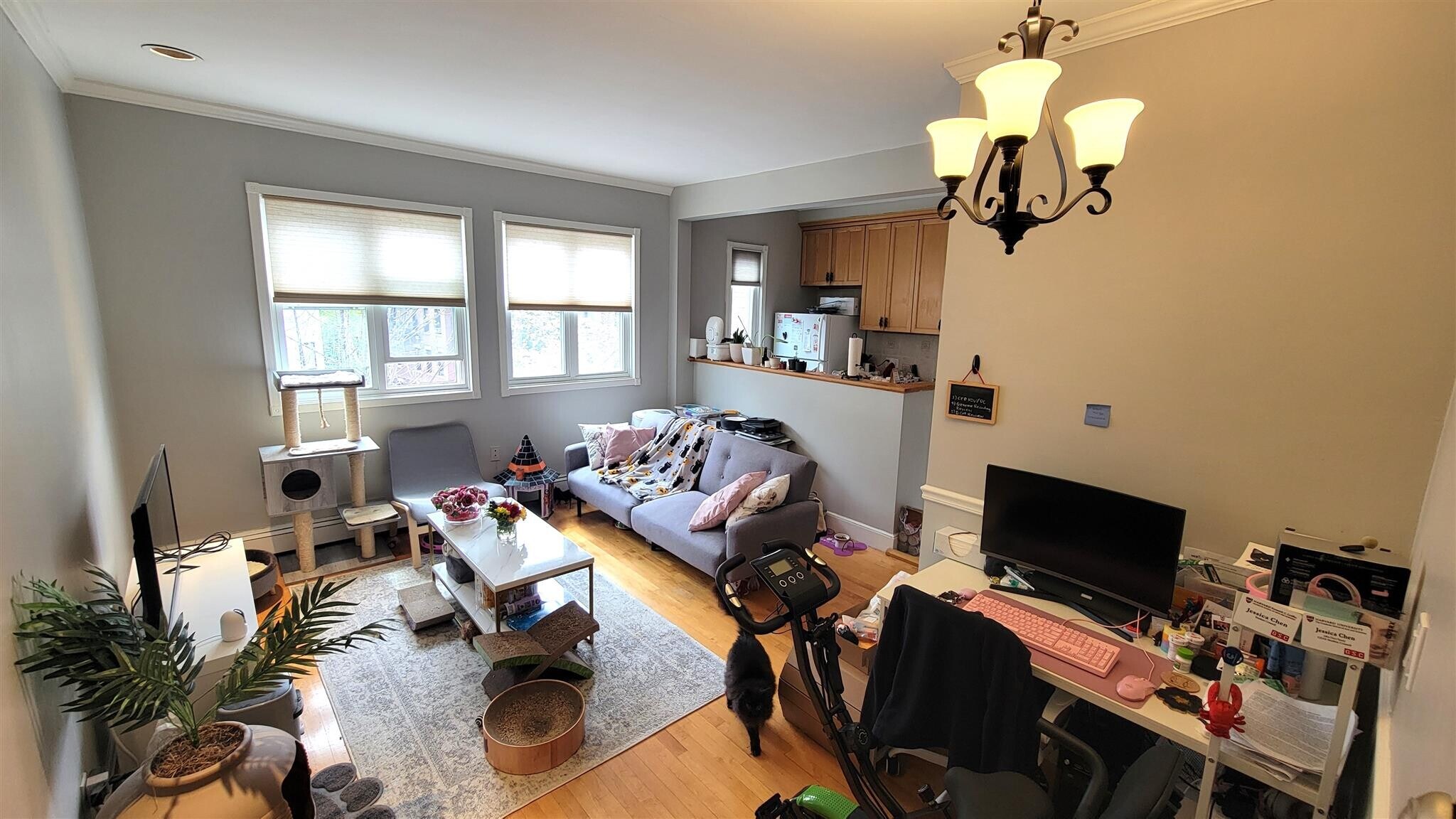 Building Photo - 97 Hancock St