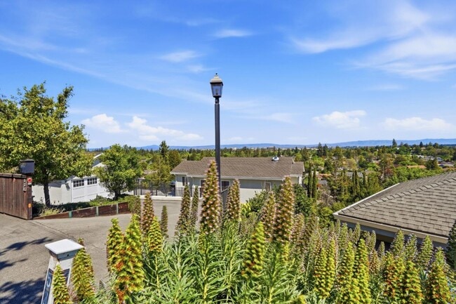 Building Photo - 531 Upland Rd