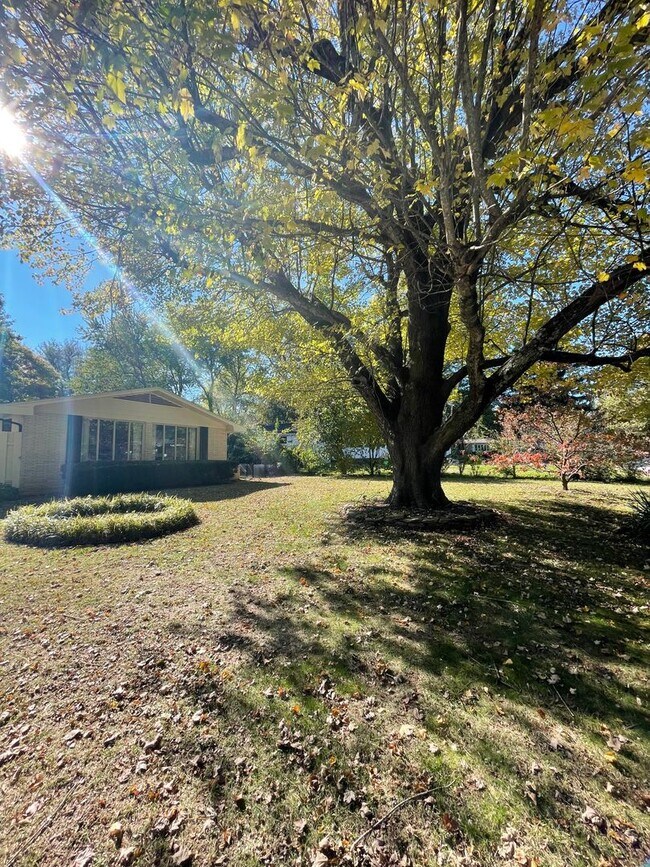 Building Photo - Beautiful 3 bedroom 2 bath home located in Southern Hills Subdivision