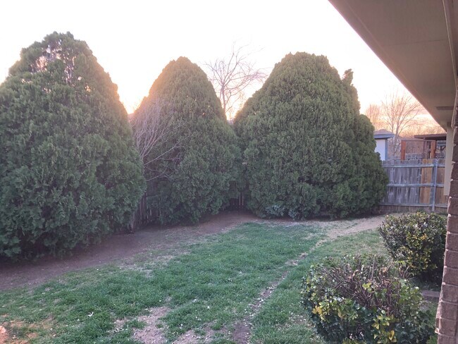 Building Photo - 10629 Holly Grove Dr