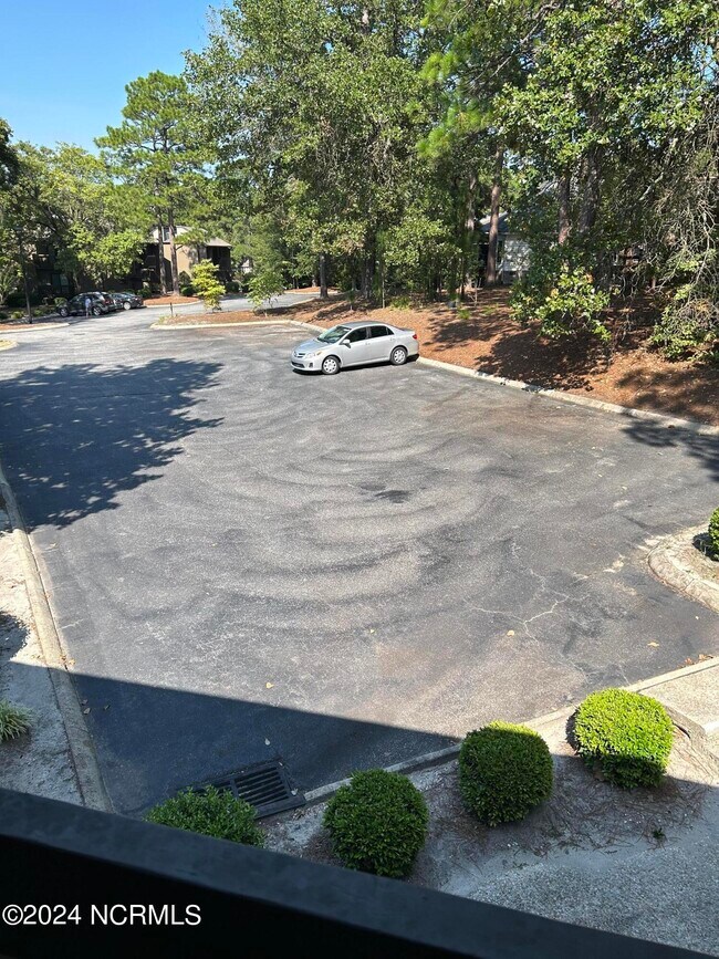 Building Photo - 250 Sugar Gum Ln