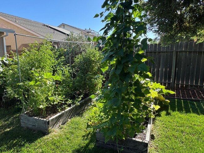 Building Photo - Charming 3-Bedroom, 2-Bath Home with Solar...