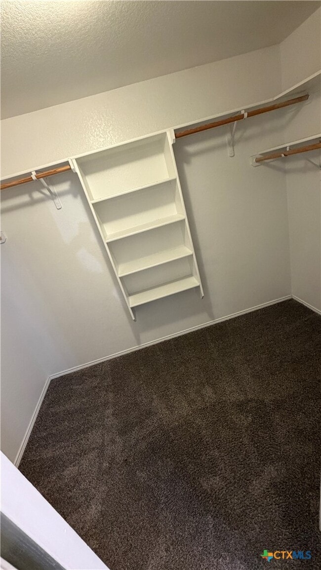 Building Photo - 9005 Bellgrove Ct