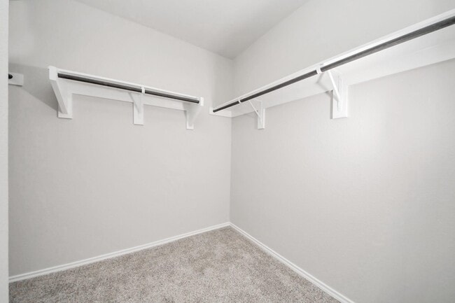 Building Photo - 16916 Rich Pines Dr