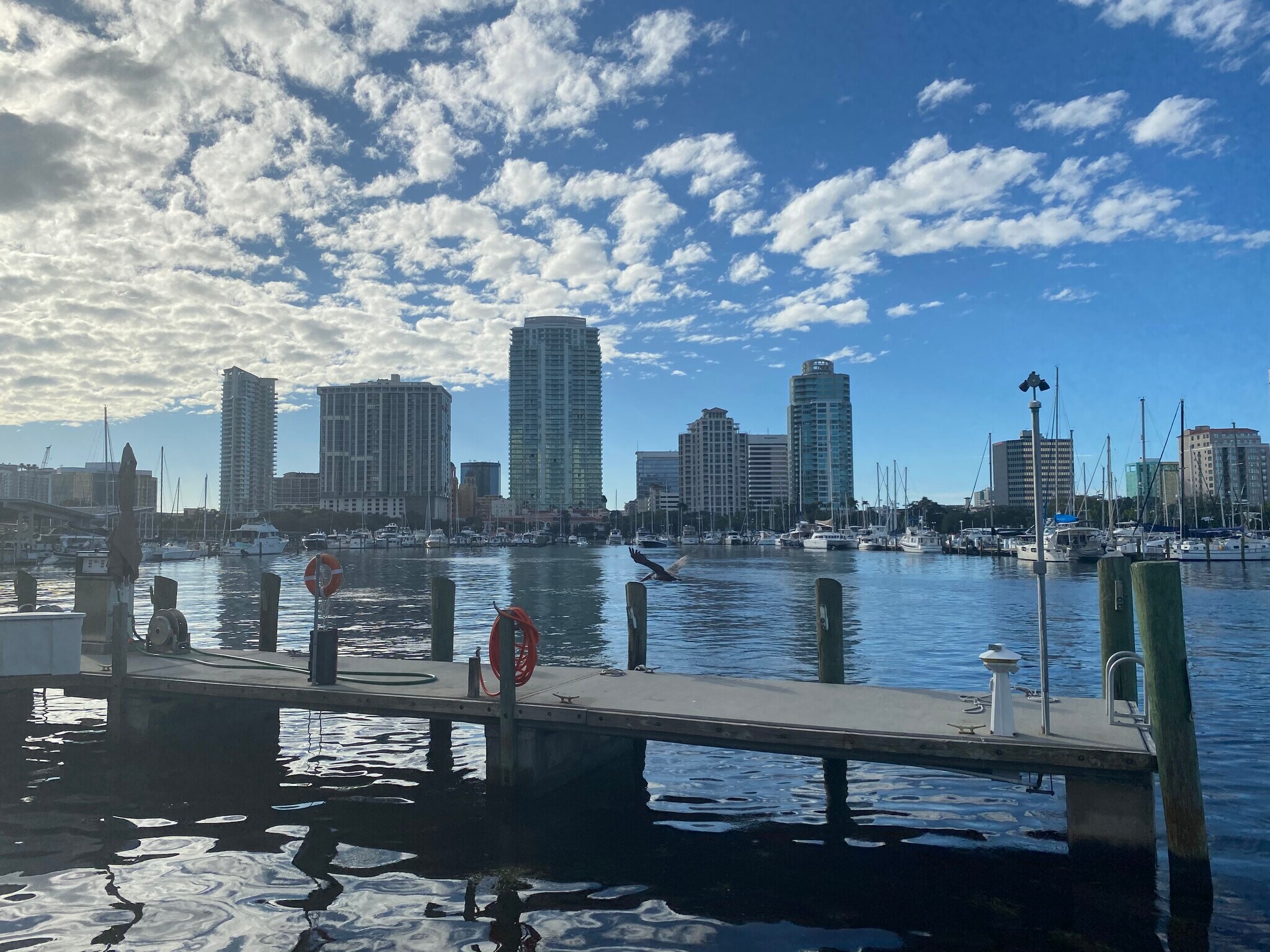 Building Photo - 249 8th Ave N