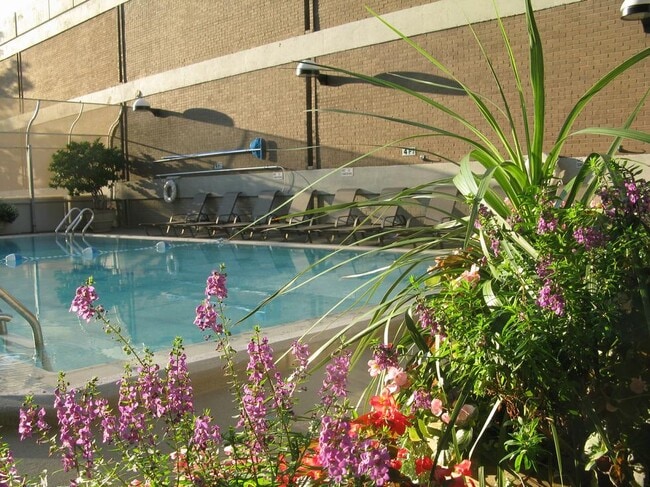 Pool - 620 Peachtree St NE