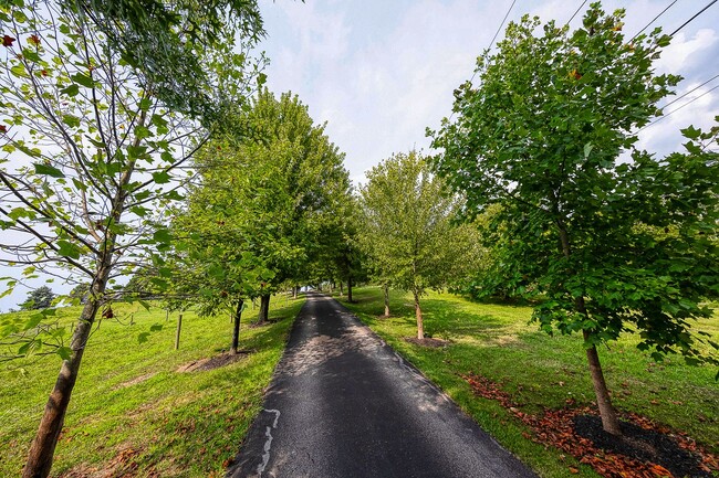 Building Photo - Privacy on 4 acres