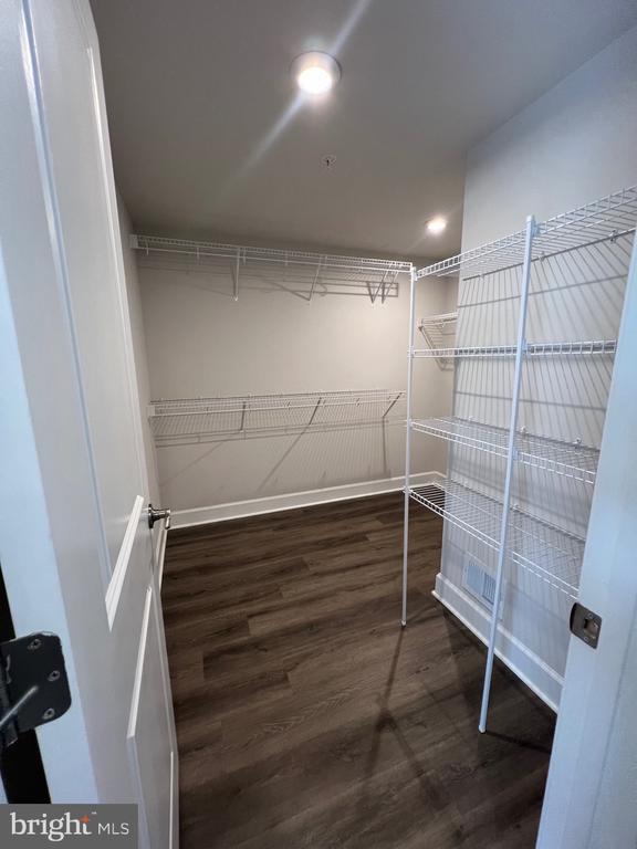 Building Photo - 3817 Polo Pl