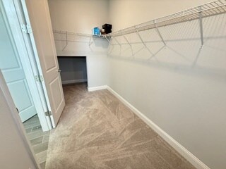 Building Photo - 195 Clifton Bay Lp