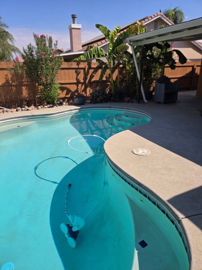 Building Photo - Three bedroom, fresh paint and pool!