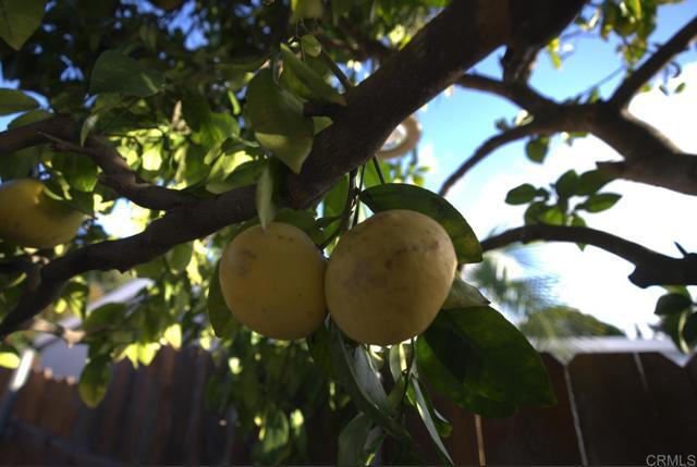 Building Photo - 2567 Monette Dr