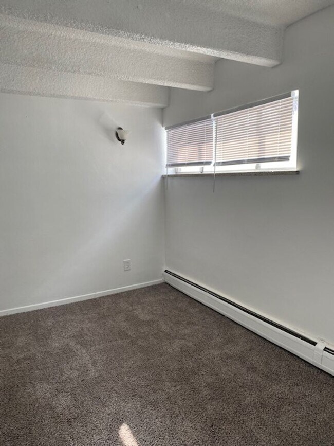 Building Photo - Newly remodeled 1-bedroom apartment near DU