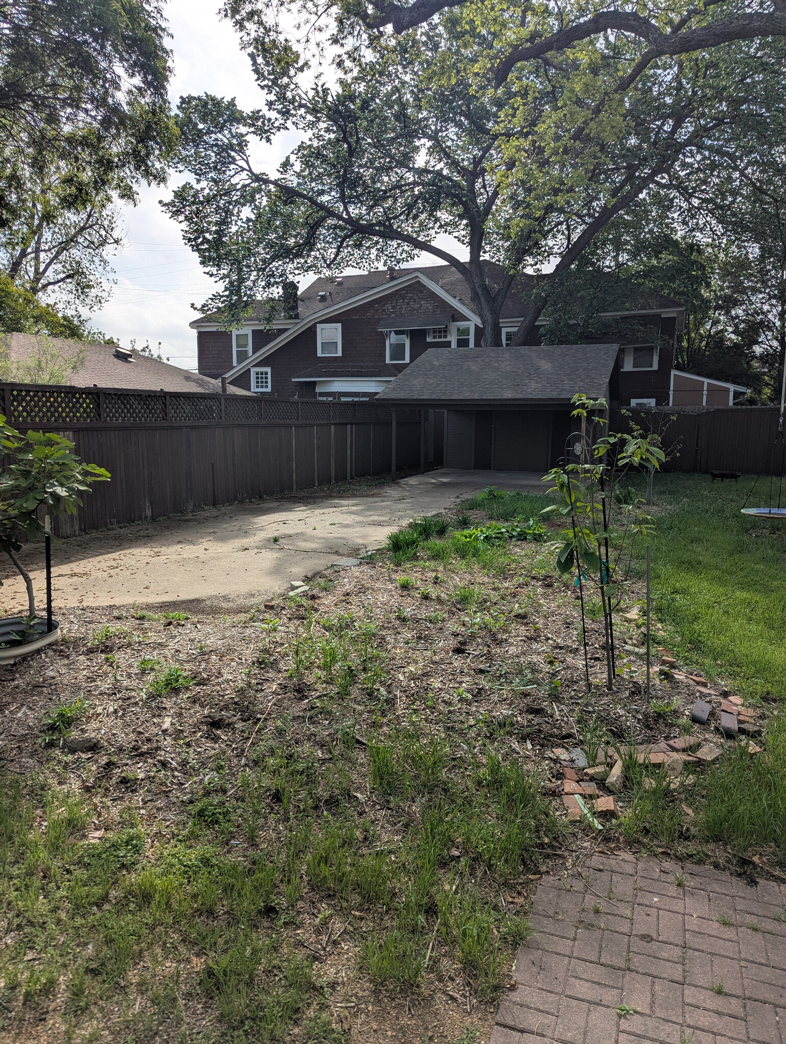 Rear yard view - 4526 Reiger Ave