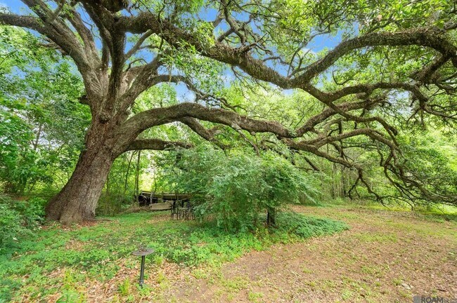 Building Photo - 8251 Valencia Ct