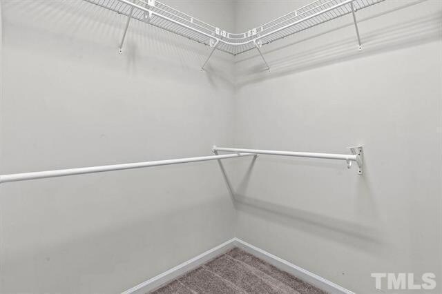 Building Photo - 2223 Chattering Lory Ln