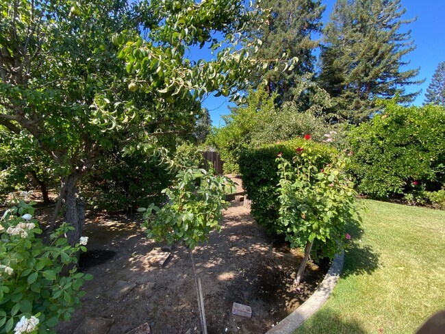 Building Photo - Coming Soon - Green Valley Home in Lovely Park-like Setting