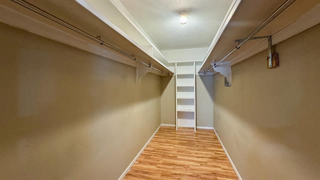 Building Photo - 10431 Pagewood Dr