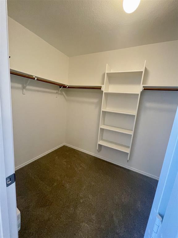 Building Photo - 8725 White Ibis Dr