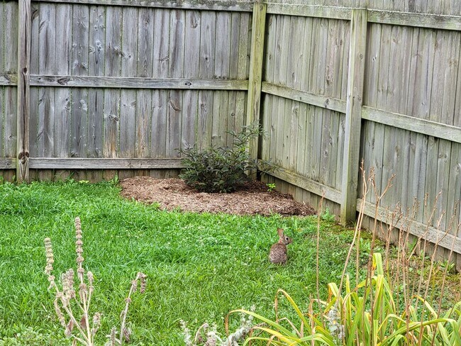 Building Photo - Single family home in The Highlands