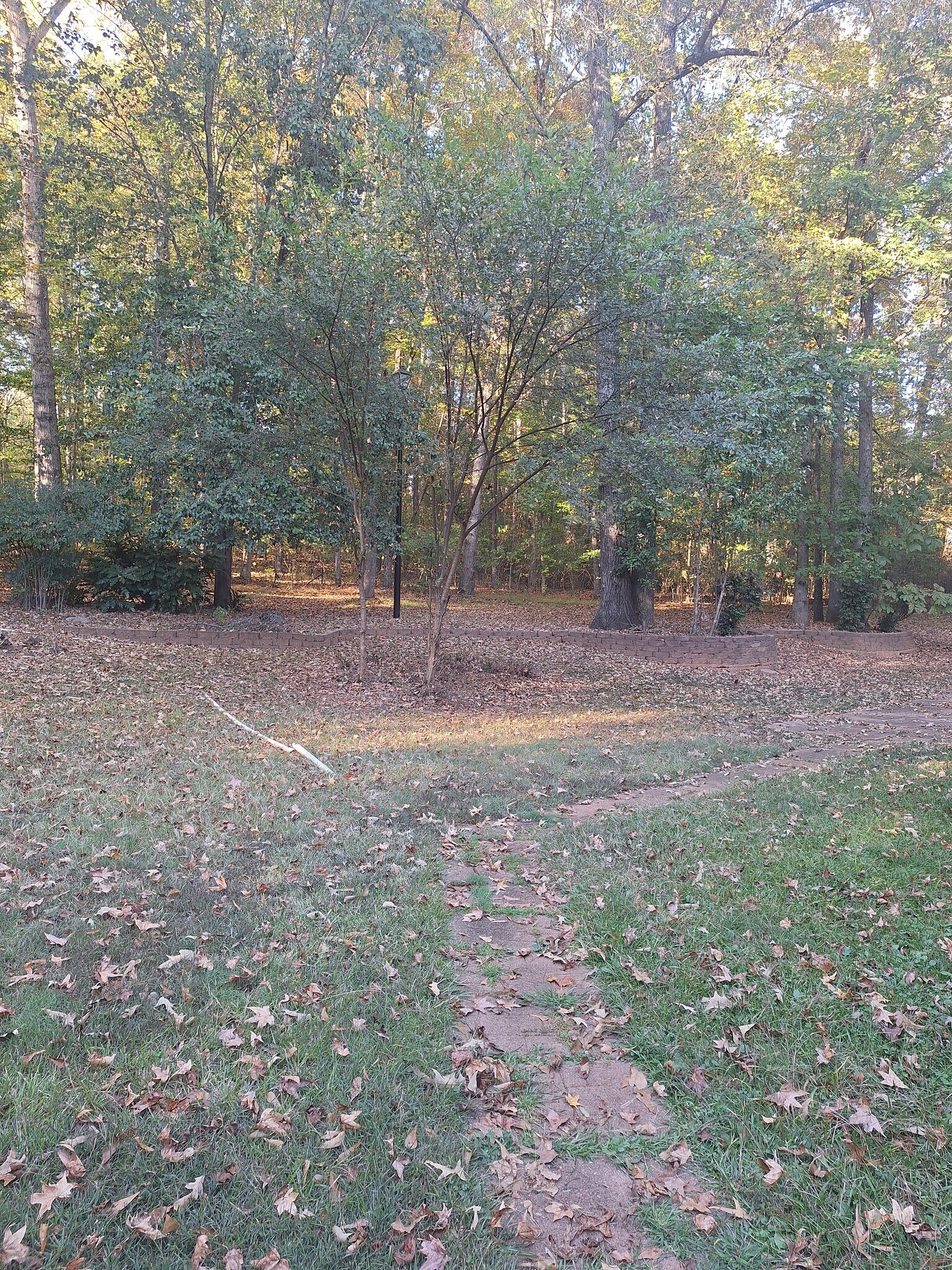 Building Photo - 1450 Scenic Brook Trl SW