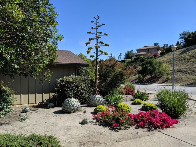 Building Photo - 203 Patricia Ct