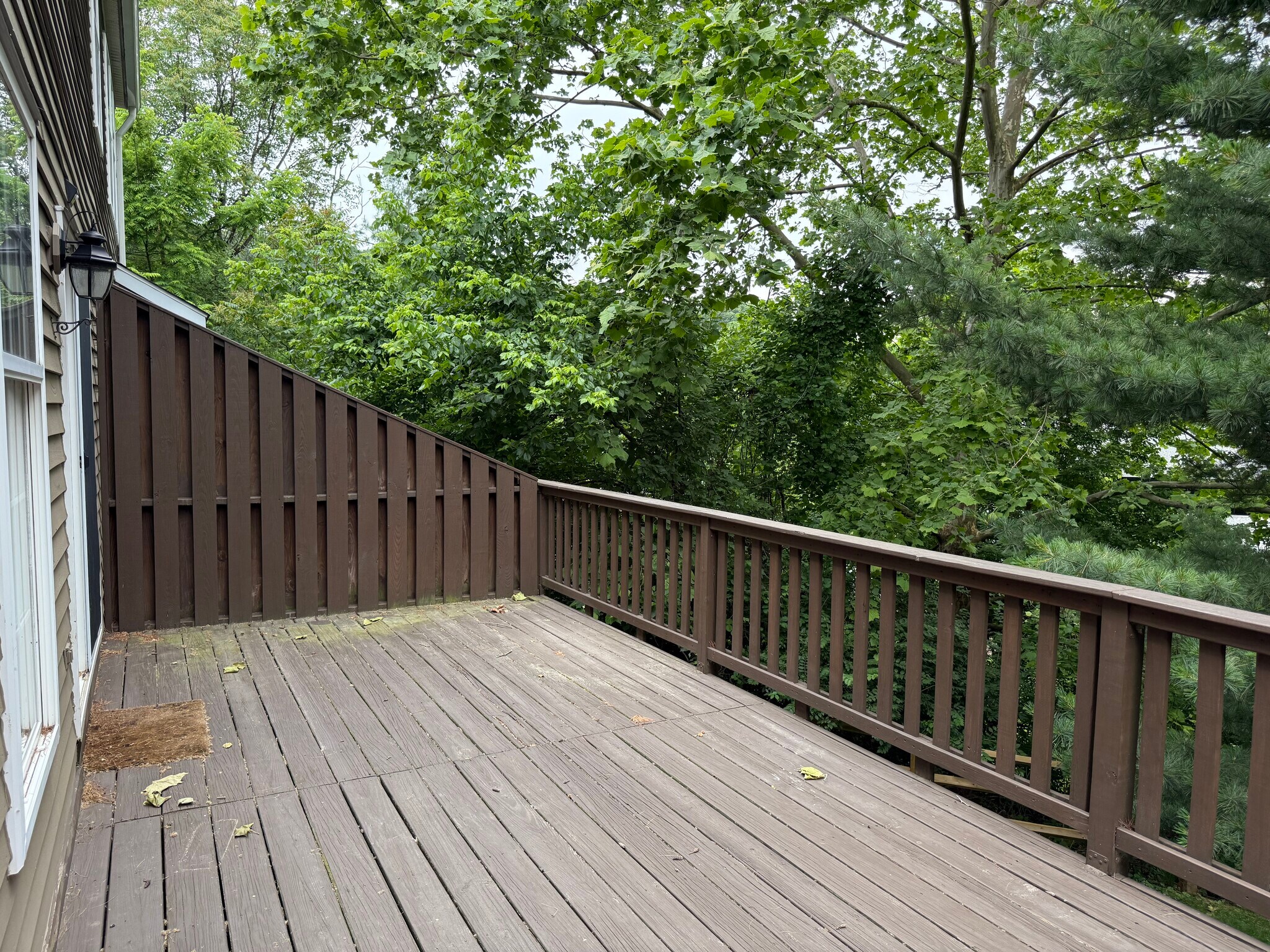Deck off Dining Room - 155 Weybridge Dr