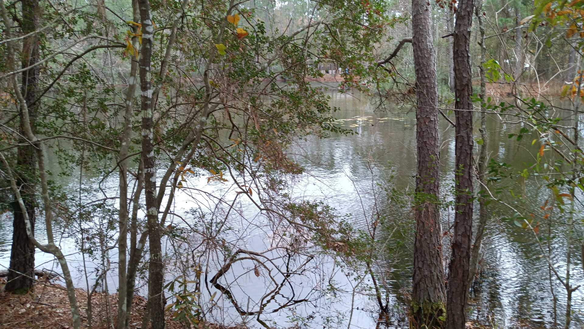 Building Photo - 11468 Underwood St