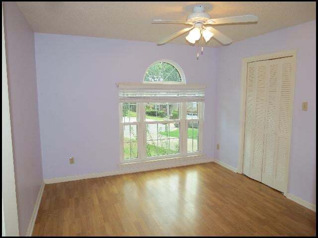 Building Photo - 12 Cedar Point Ct