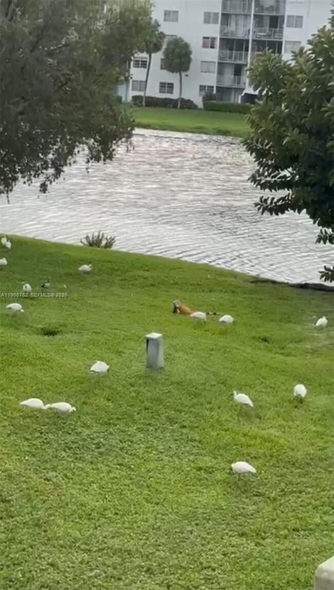 Building Photo - 506 NW 87th Ave