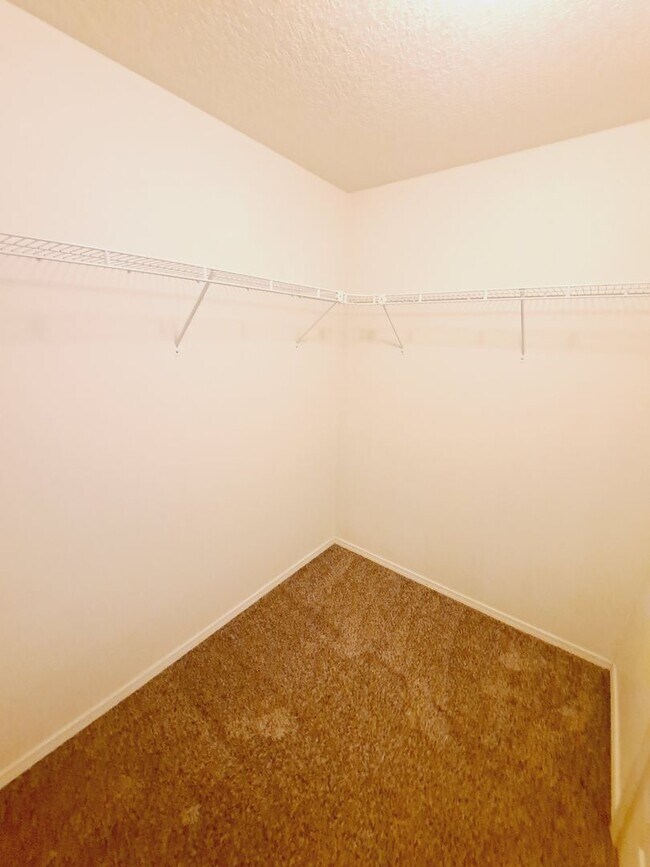 Building Photo - 3 bed 2 bath home in Huning Ranch!