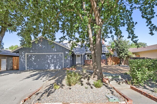 Building Photo - Updated 4 Bed 2 Bath Available for Immediate Move-In!