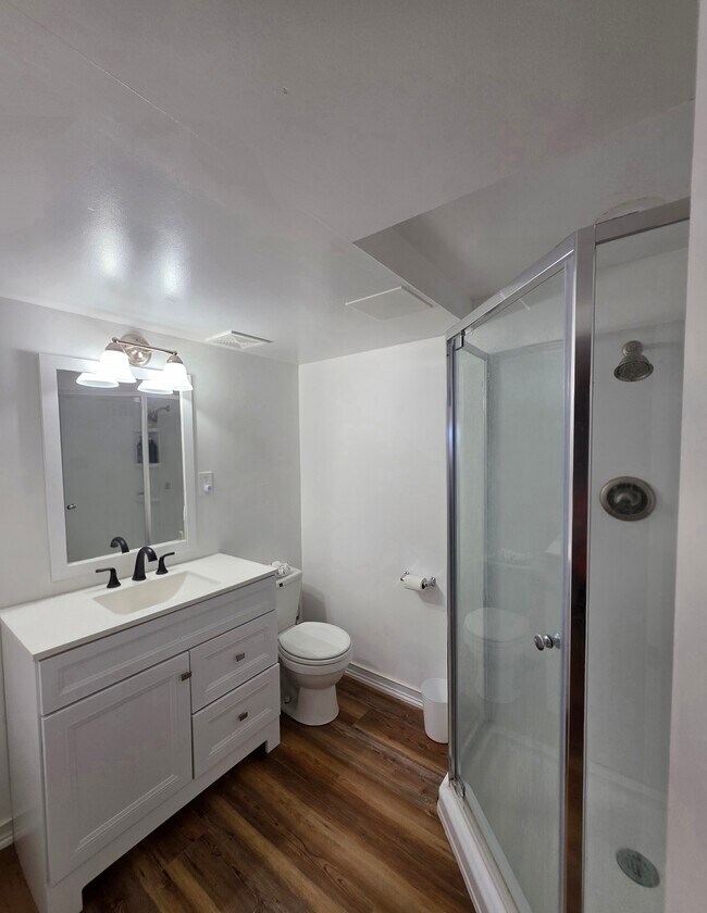 Downstairs Bathroom - 1409 2nd West Hill Dr