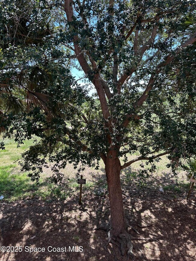 Building Photo - 2087 Hidden Grove Ln