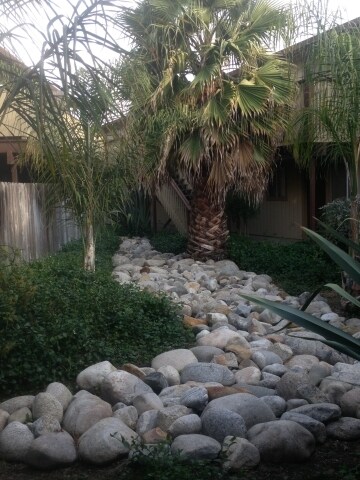 Interior Courtyard - The Courtyard Apartments