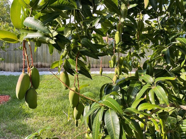 Building Photo - 430 45th St