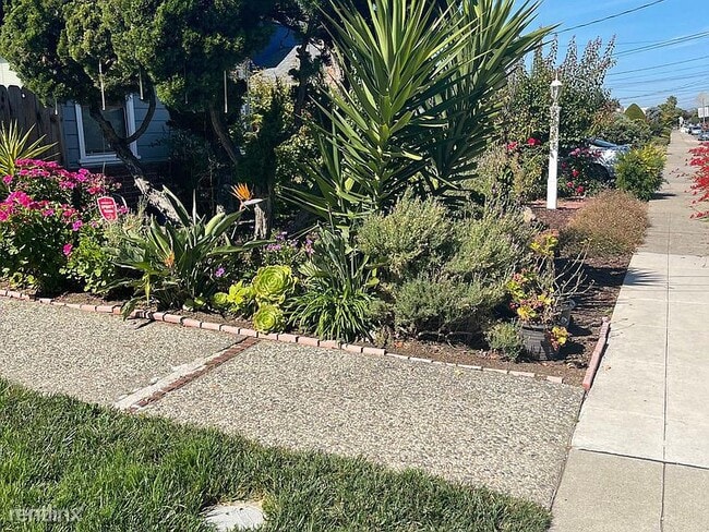 Building Photo - 4 br, 2.5 bath House - 733 Dolores Ave