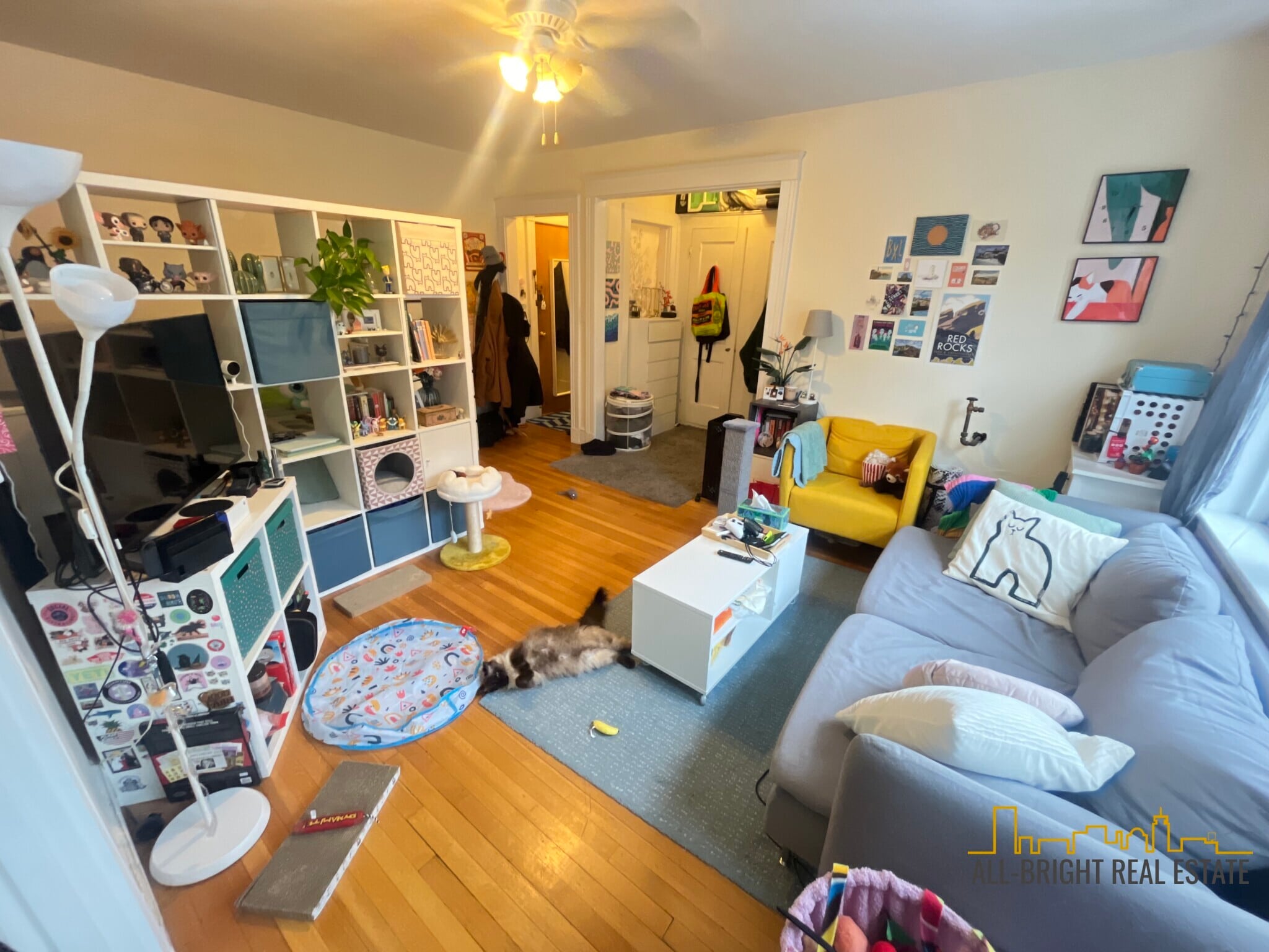 Building Photo - 1625 Commonwealth Ave