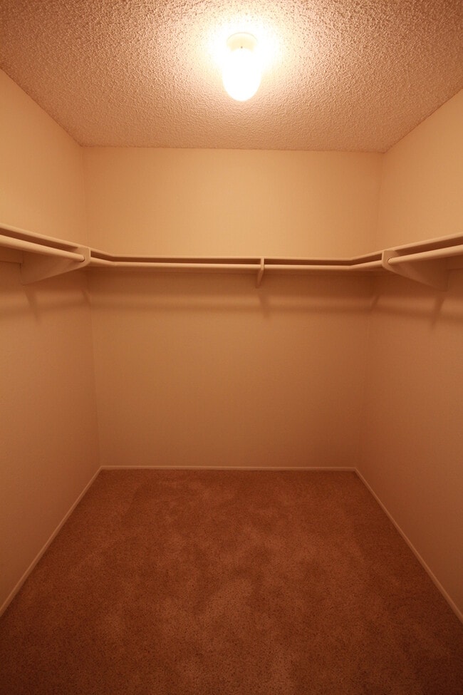 Building Photo - 4075 Rosenda Ct