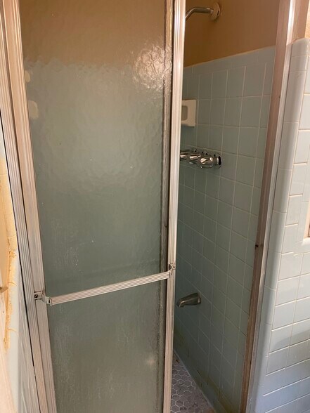 Master Shower - 4193 Dunmore Rd