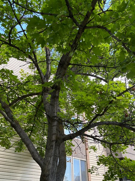 Building Photo - 257 E 500 N