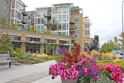 Primary Photo - Spacious Kirkland Central Condo for Rent.
