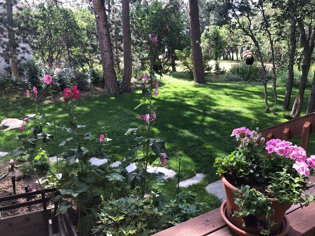 Building Photo - Warm & Spacious Woodmoor Home in a Fantast...