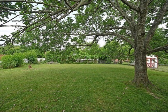 Building Photo - 1209 Oriole Ct