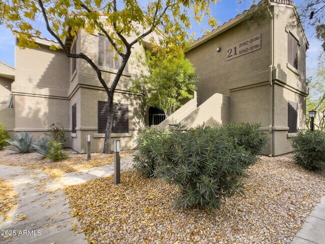 Primary Photo - 15151 N Frank Lloyd Wright Blvd