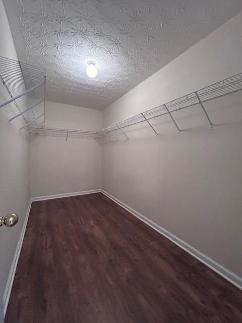 Building Photo - 3680 Alamosa Ct