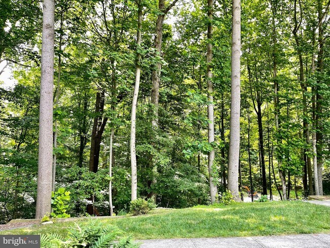 Building Photo - 10824 Whiterim Dr